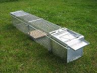 Gitterkastenfalle-beidseitig